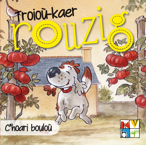 C hoari boulo    56b4b8796b801