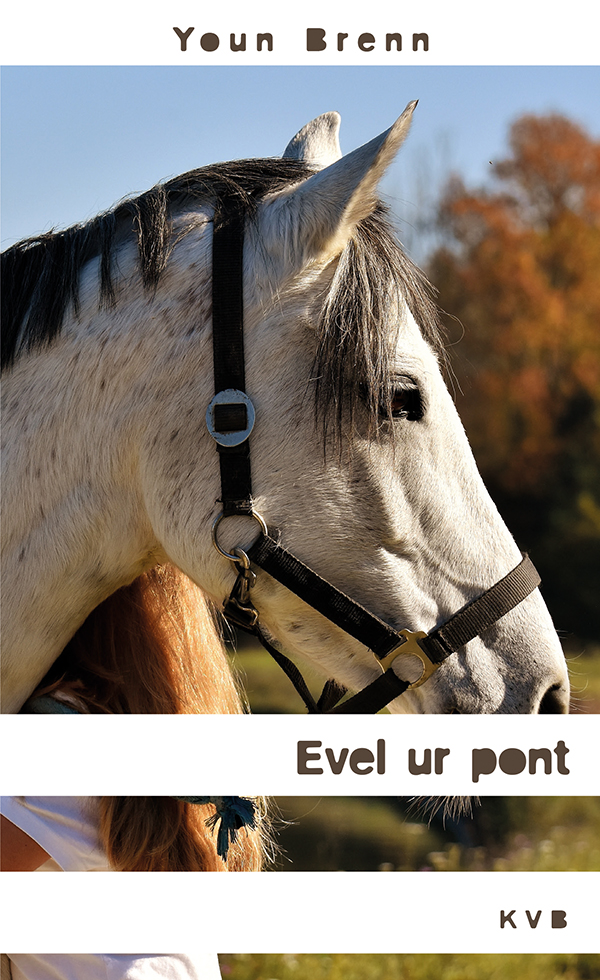 PAY2 Evel ur pont COUV 600pxl