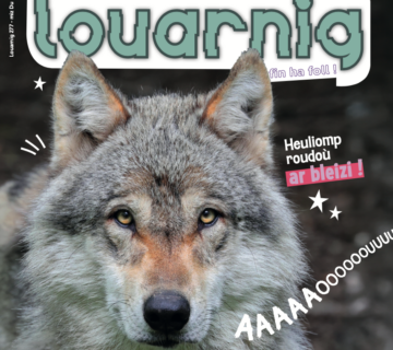 Capture decran 2026 04 03 a 11 17 00 360x320