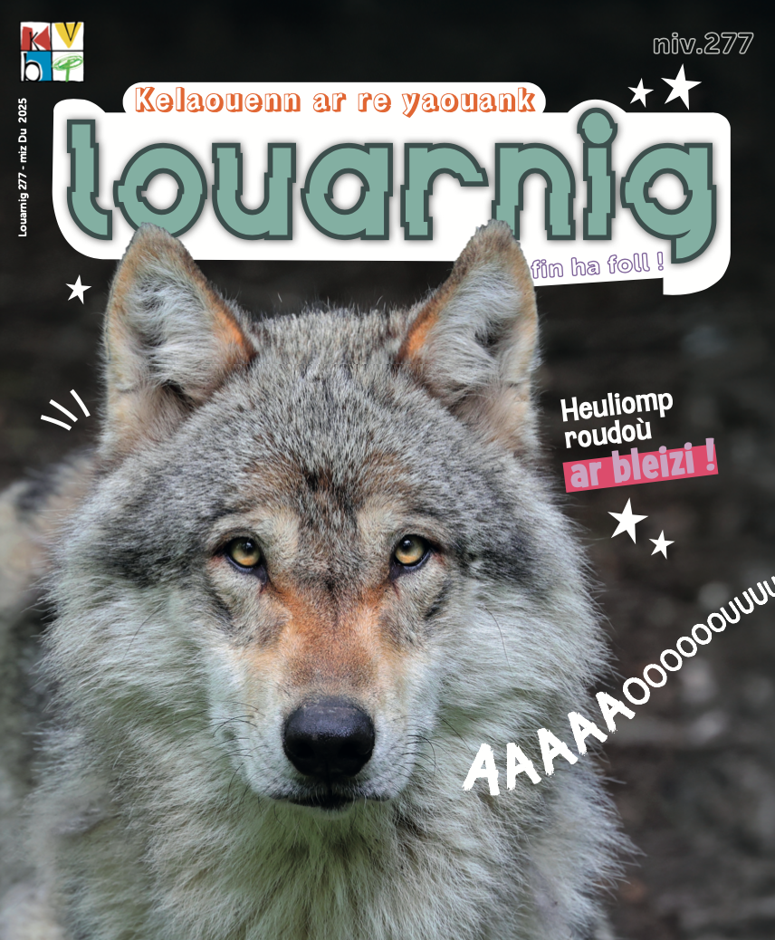 Capture decran 2026 04 03 a 11 17 00