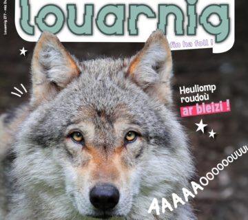 Capture decran 2026 04 03 a 11 21 12 360x320