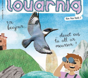 Capture decran 2026 02 10 a 14 22 45 360x320