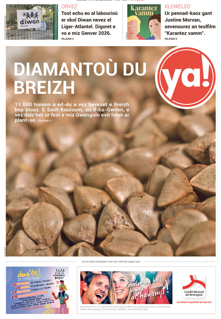 GOLO 1059 1 711x1024